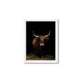 Picture of Dixie, the Bull II _GroupedProduct_Rectangle_Portrait_Photography _GroupedProduct_Rectangle_Portrait_Framed_Matted_