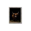 Picture of Dixie, the Bull II _GroupedProduct_Rectangle_Portrait_Photography _GroupedProduct_Rectangle_Portrait_Framed_Matted_