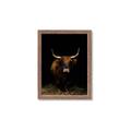 Picture of Dixie, the Bull II _GroupedProduct_Rectangle_Portrait_Photography _GroupedProduct_Rectangle_Portrait_Framed_Matted_