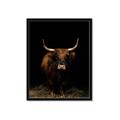 Picture of Dixie, the Bull II _GroupedProduct_Rectangle_Portrait_Photography _GroupedProduct_Rectangle_Portrait_Framed_Matted_