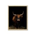 Picture of Dixie, the Bull II _GroupedProduct_Rectangle_Portrait_Photography _GroupedProduct_Rectangle_Portrait_Framed_Matted_