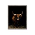 Picture of Dixie, the Bull II _GroupedProduct_Rectangle_Portrait_Photography _GroupedProduct_Rectangle_Portrait_Framed_Matted_