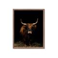 Picture of Dixie, the Bull II _GroupedProduct_Rectangle_Portrait_Photography _GroupedProduct_Rectangle_Portrait_Framed_Matted_