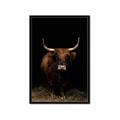 Picture of Dixie, the Bull II _GroupedProduct_Rectangle_Portrait_Photography _GroupedProduct_Rectangle_Portrait_Framed_Matted_
