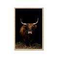 Picture of Dixie, the Bull II _GroupedProduct_Rectangle_Portrait_Photography _GroupedProduct_Rectangle_Portrait_Framed_Matted_