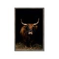 Picture of Dixie, the Bull II _GroupedProduct_Rectangle_Portrait_Photography _GroupedProduct_Rectangle_Portrait_Framed_Matted_