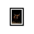 Picture of Dixie, the Bull II _GroupedProduct_Rectangle_Portrait_Photography _GroupedProduct_Rectangle_Portrait_Framed_Matted_