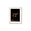 Picture of Dixie, the Bull II _GroupedProduct_Rectangle_Portrait_Photography _GroupedProduct_Rectangle_Portrait_Framed_Matted_