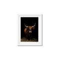 Picture of Dixie, the Bull II _GroupedProduct_Rectangle_Portrait_Photography _GroupedProduct_Rectangle_Portrait_Framed_Matted_