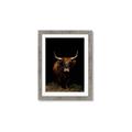 Picture of Dixie, the Bull II _GroupedProduct_Rectangle_Portrait_Photography _GroupedProduct_Rectangle_Portrait_Framed_Matted_