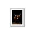 Picture of Dixie, the Bull II _GroupedProduct_Rectangle_Portrait_Photography _GroupedProduct_Rectangle_Portrait_Framed_Matted_