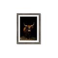 Picture of Dixie, the Bull II _GroupedProduct_Rectangle_Portrait_Photography _GroupedProduct_Rectangle_Portrait_Framed_Matted_