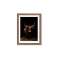 Picture of Dixie, the Bull II _GroupedProduct_Rectangle_Portrait_Photography _GroupedProduct_Rectangle_Portrait_Framed_Matted_
