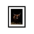 Picture of Dixie, the Bull II _GroupedProduct_Rectangle_Portrait_Photography _GroupedProduct_Rectangle_Portrait_Framed_Matted_