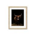 Picture of Dixie, the Bull II _GroupedProduct_Rectangle_Portrait_Photography _GroupedProduct_Rectangle_Portrait_Framed_Matted_