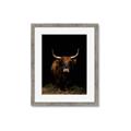 Picture of Dixie, the Bull II _GroupedProduct_Rectangle_Portrait_Photography _GroupedProduct_Rectangle_Portrait_Framed_Matted_