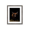 Picture of Dixie, the Bull II _GroupedProduct_Rectangle_Portrait_Photography _GroupedProduct_Rectangle_Portrait_Framed_Matted_