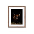 Picture of Dixie, the Bull II _GroupedProduct_Rectangle_Portrait_Photography _GroupedProduct_Rectangle_Portrait_Framed_Matted_