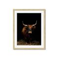 Picture of Dixie, the Bull II _GroupedProduct_Rectangle_Portrait_Photography _GroupedProduct_Rectangle_Portrait_Framed_Matted_
