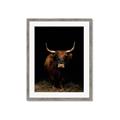 Picture of Dixie, the Bull II _GroupedProduct_Rectangle_Portrait_Photography _GroupedProduct_Rectangle_Portrait_Framed_Matted_