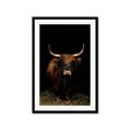 Picture of Dixie, the Bull II _GroupedProduct_Rectangle_Portrait_Photography _GroupedProduct_Rectangle_Portrait_Framed_Matted_
