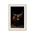 Picture of Dixie, the Bull II _GroupedProduct_Rectangle_Portrait_Photography _GroupedProduct_Rectangle_Portrait_Framed_Matted_