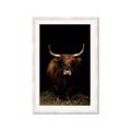 Picture of Dixie, the Bull II _GroupedProduct_Rectangle_Portrait_Photography _GroupedProduct_Rectangle_Portrait_Framed_Matted_