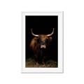 Picture of Dixie, the Bull II _GroupedProduct_Rectangle_Portrait_Photography _GroupedProduct_Rectangle_Portrait_Framed_Matted_