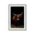 Picture of Dixie, the Bull II _GroupedProduct_Rectangle_Portrait_Photography _GroupedProduct_Rectangle_Portrait_Framed_Matted_