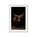 Picture of Dixie, the Bull II _GroupedProduct_Rectangle_Portrait_Photography _GroupedProduct_Rectangle_Portrait_Framed_Matted_