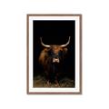 Picture of Dixie, the Bull II _GroupedProduct_Rectangle_Portrait_Photography _GroupedProduct_Rectangle_Portrait_Framed_Matted_