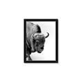 Picture of Buffalo Bill _GroupedProduct_Rectangle_Portrait_Photography _GroupedProduct_Rectangle_Portrait_Framed_Matted_