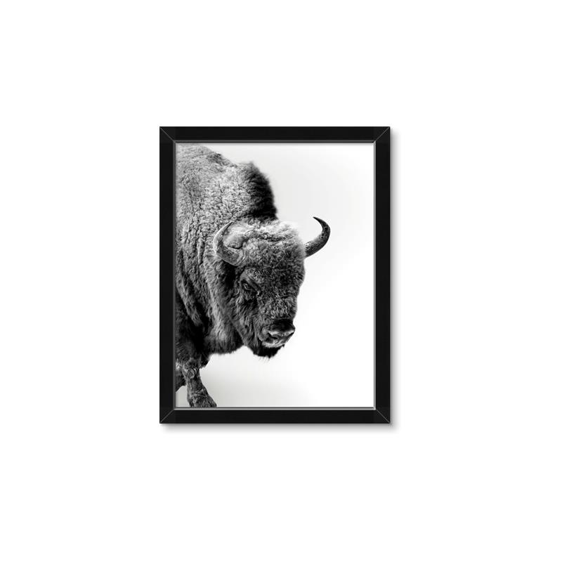 Picture of Buffalo Bill _GroupedProduct_Rectangle_Portrait_Photography _GroupedProduct_Rectangle_Portrait_Framed_Matted_