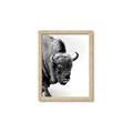 Picture of Buffalo Bill _GroupedProduct_Rectangle_Portrait_Photography _GroupedProduct_Rectangle_Portrait_Framed_Matted_