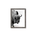 Picture of Buffalo Bill _GroupedProduct_Rectangle_Portrait_Photography _GroupedProduct_Rectangle_Portrait_Framed_Matted_