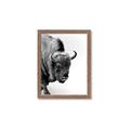 Picture of Buffalo Bill _GroupedProduct_Rectangle_Portrait_Photography _GroupedProduct_Rectangle_Portrait_Framed_Matted_