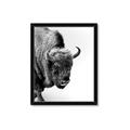 Picture of Buffalo Bill _GroupedProduct_Rectangle_Portrait_Photography _GroupedProduct_Rectangle_Portrait_Framed_Matted_