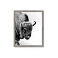 Picture of Buffalo Bill _GroupedProduct_Rectangle_Portrait_Photography _GroupedProduct_Rectangle_Portrait_Framed_Matted_