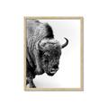 Picture of Buffalo Bill _GroupedProduct_Rectangle_Portrait_Photography _GroupedProduct_Rectangle_Portrait_Framed_Matted_