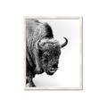 Picture of Buffalo Bill _GroupedProduct_Rectangle_Portrait_Photography _GroupedProduct_Rectangle_Portrait_Framed_Matted_