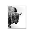 Picture of Buffalo Bill _GroupedProduct_Rectangle_Portrait_Photography _GroupedProduct_Rectangle_Portrait_Framed_Matted_