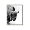 Picture of Buffalo Bill _GroupedProduct_Rectangle_Portrait_Photography _GroupedProduct_Rectangle_Portrait_Framed_Matted_