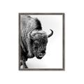Picture of Buffalo Bill _GroupedProduct_Rectangle_Portrait_Photography _GroupedProduct_Rectangle_Portrait_Framed_Matted_