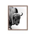 Picture of Buffalo Bill _GroupedProduct_Rectangle_Portrait_Photography _GroupedProduct_Rectangle_Portrait_Framed_Matted_
