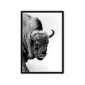 Picture of Buffalo Bill _GroupedProduct_Rectangle_Portrait_Photography _GroupedProduct_Rectangle_Portrait_Framed_Matted_
