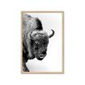 Picture of Buffalo Bill _GroupedProduct_Rectangle_Portrait_Photography _GroupedProduct_Rectangle_Portrait_Framed_Matted_