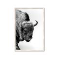Picture of Buffalo Bill _GroupedProduct_Rectangle_Portrait_Photography _GroupedProduct_Rectangle_Portrait_Framed_Matted_