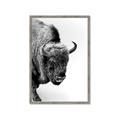 Picture of Buffalo Bill _GroupedProduct_Rectangle_Portrait_Photography _GroupedProduct_Rectangle_Portrait_Framed_Matted_