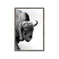 Picture of Buffalo Bill _GroupedProduct_Rectangle_Portrait_Photography _GroupedProduct_Rectangle_Portrait_Framed_Matted_