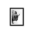 Picture of Buffalo Bill _GroupedProduct_Rectangle_Portrait_Photography _GroupedProduct_Rectangle_Portrait_Framed_Matted_